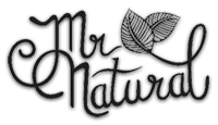 Hudson Logo